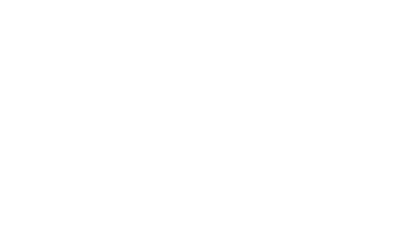 BCR PENSII